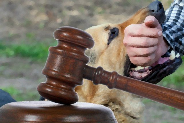 �������� ���� ������ ��������������� �� �������� ������ �������