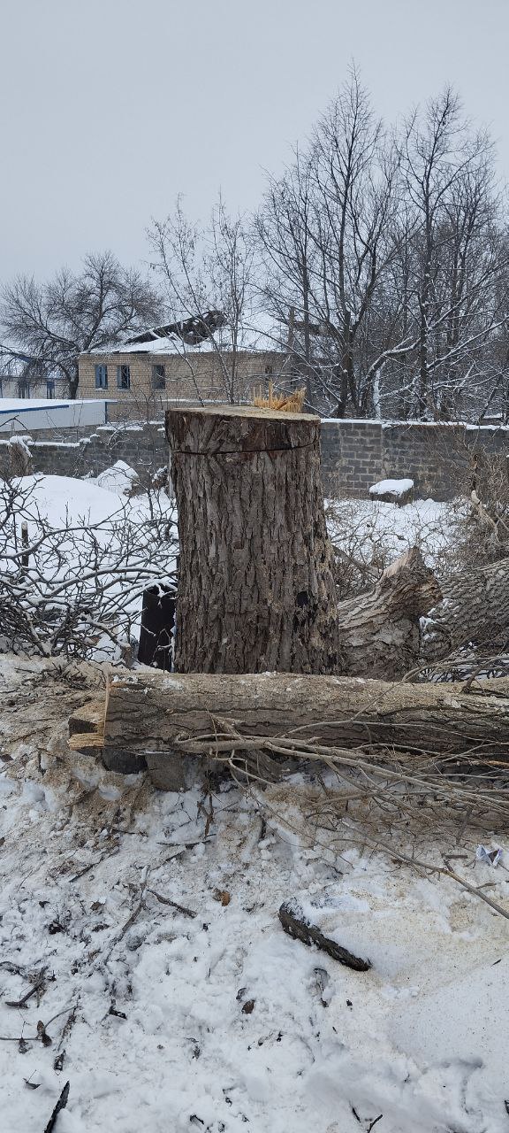 Предновогодний период - не помеха для работ по благоустройству Предновогодний период - не помеха для работ по благоустройству