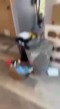 Почти на каждой ёлку на планете Земля есть своя пушистая игрушка