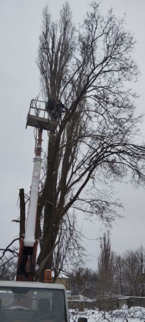 Предновогодний период - не помеха для работ по благоустройству