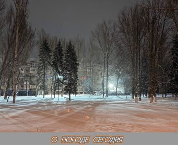 Александр Шатов: 30 декабря в Республике облачно,ожидается снег, на дорогах гололед, порывы ветра до 12 метров в секунду