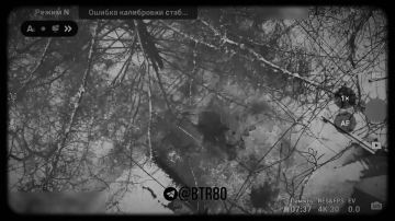 Как наши операторы БпЛА добивали остатки украинских солдат в Димитрове