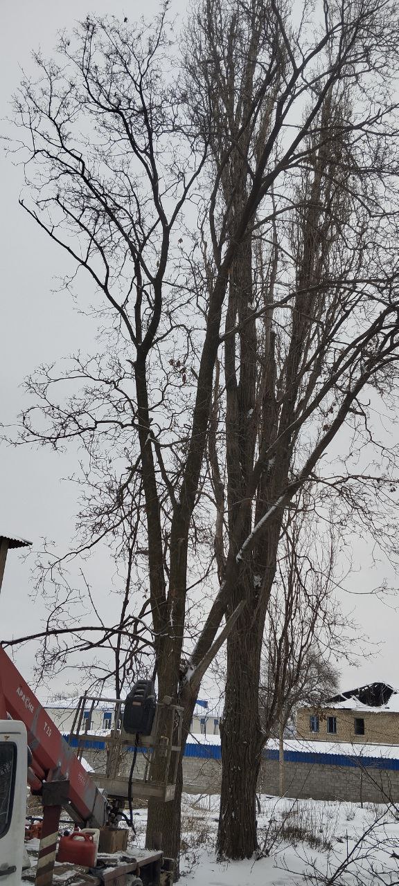 Предновогодний период - не помеха для работ по благоустройству Предновогодний период - не помеха для работ по благоустройству