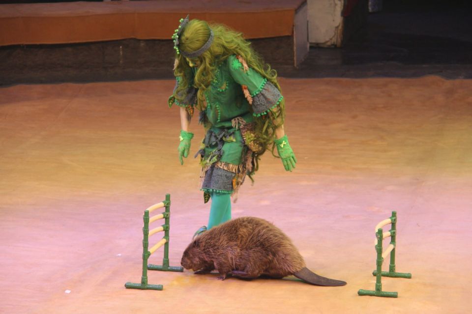 ���������� ������� �������� ��� ���� ����!