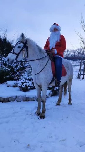 ������� ������������ ���, �������� �� ������� � ������ ��� ��������, ����������� � ����������� ����� ����� ���� � �������� ���������