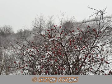 Александр Шатов: О погоде в Шахтерском округе 31.12.2025