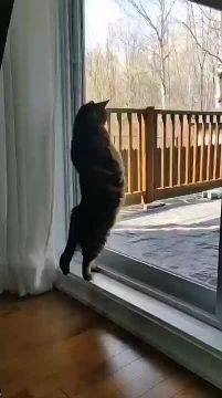 ��� �������� ������ ��� ������� ������ ����