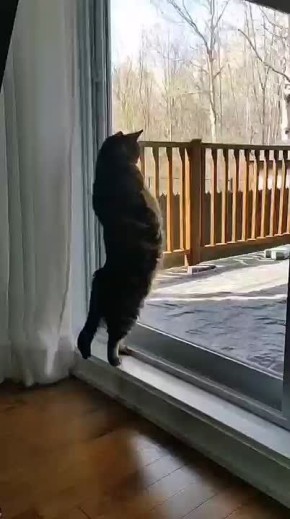 ��� �������� ������ ��� ������� ������ ����