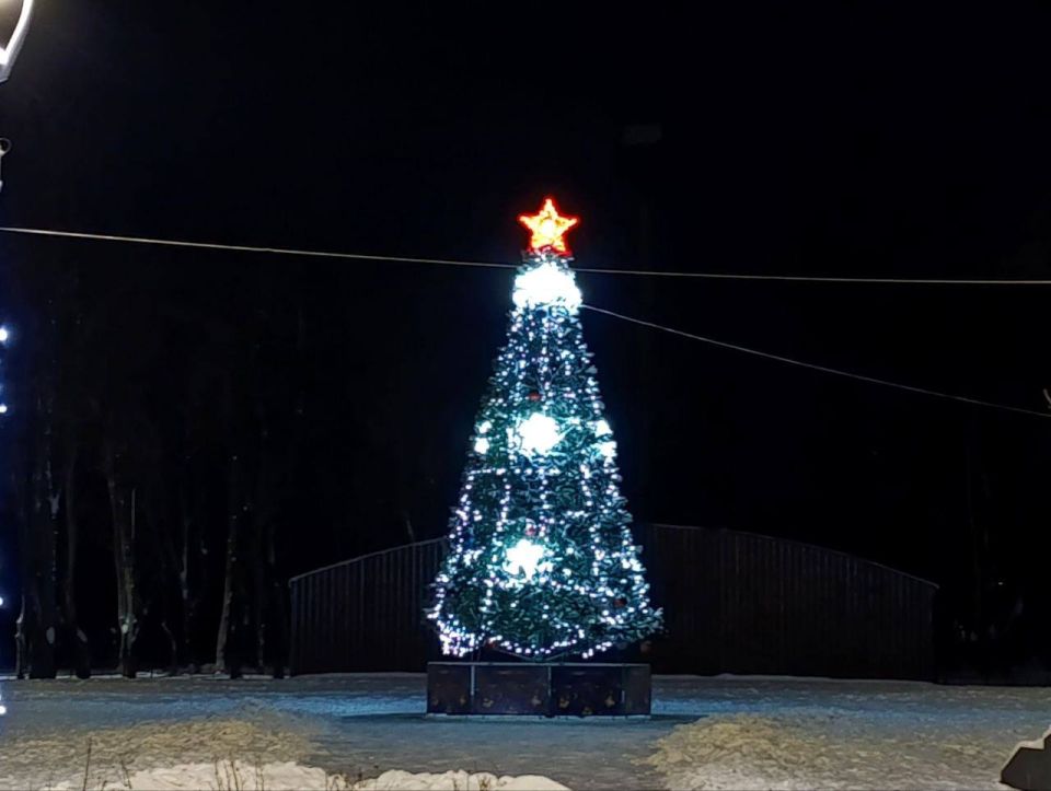 С наступающим Новым годом! С наступающим Новым годом!