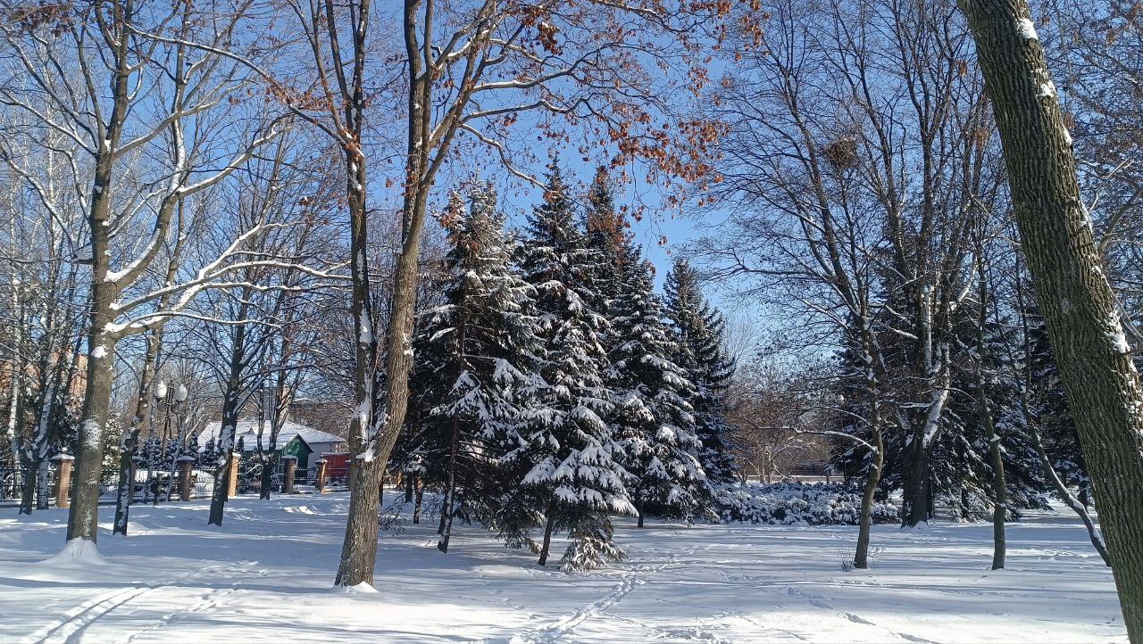 Дмитрий Огилец: Друзья мои!. Хочу поздравить вас с Наступающим Новым 2026 годом и поблагодарить уходящий 2025-й! Дмитрий Огилец: Друзья мои!. Хочу поздравить вас с Наступающим Новым 2026 годом и поблагодарить уходящий 2025-й!