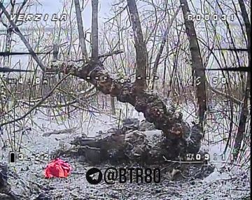 Не дошли и не вернулись: FPV ликвидировали очередную группу "знаменосцев" под Димитровым