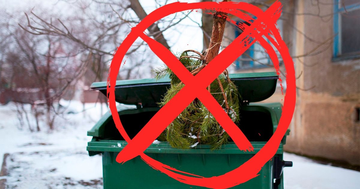 Уважаемые жители Амвросиевского муниципального округа! Уважаемые жители Амвросиевского муниципального округа!