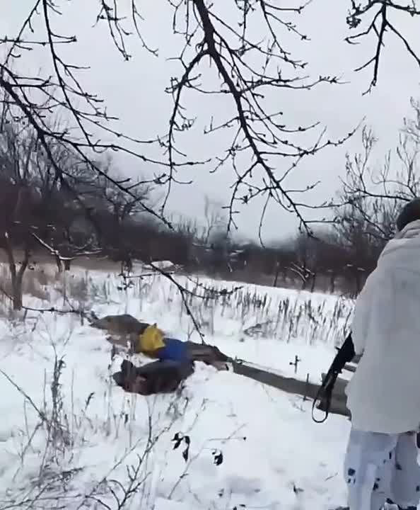 Уже третья группа ВСУ за последнее время, отправленная для съемок пиар-акции с флагом к окраинам Мирнограда