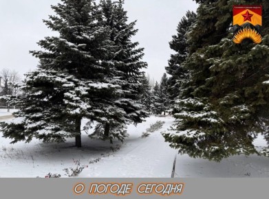 Александр Шатов: О погоде в Шахтерском округе 02.01.2026