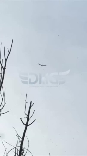 ���� ��� ��� ���������. �����������