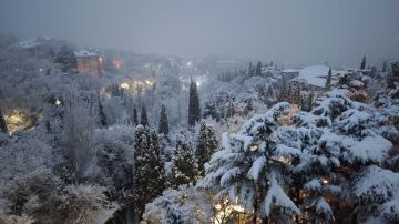 Ялта в снежном покрывале. : tg-канал Янины Павленко