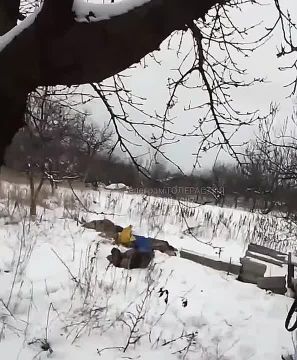 ВСУ отправляют к окраинам Мирнограда уже третью группу для съемок пиар-акции с флагом