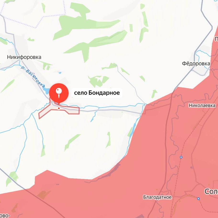 Российские военные освободили населенный пункт Бондарное в ДНР, сообщили в Минобороны