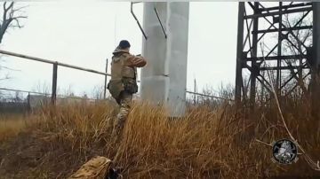 ������� ������������ ����� �������� ����� ������������� �� �� �� ������������ ����� � �.�. ������� � ��� (�����)