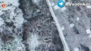 ����������� � ����������: 150 ������� ���������� ������ � ������� �����