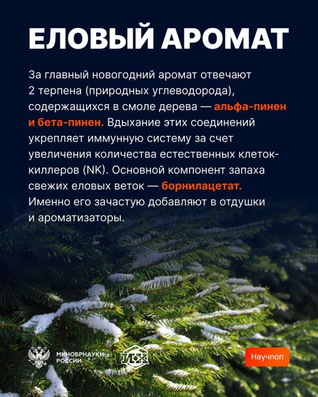 � ������� ������ ��������� ���������� �� ���� �������� ����������, ������� ��� ��������