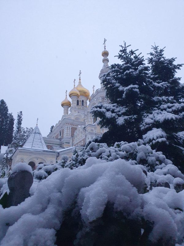 ���� � ������� ���������. : tg-����� ����� ��������