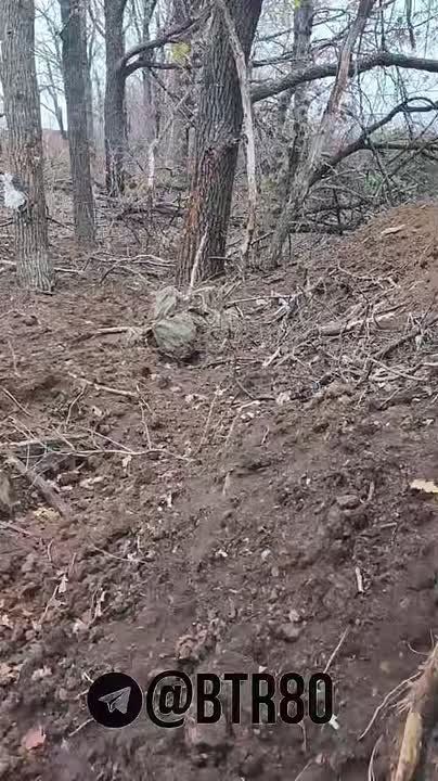 ����� � ���������: ����������� ������� "������������" ��� �������� "���������, ������"