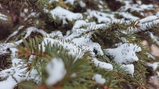Счастливого выходного дня!
