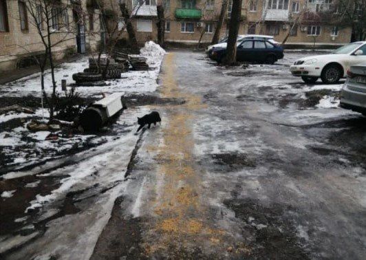 ����� �����: �������� �� ���������� �������