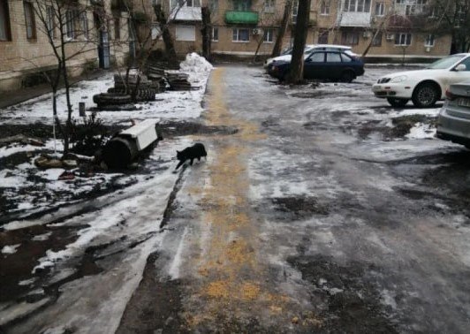 Игорь Лызов: Работаем по обращениям граждан Игорь Лызов: Работаем по обращениям граждан