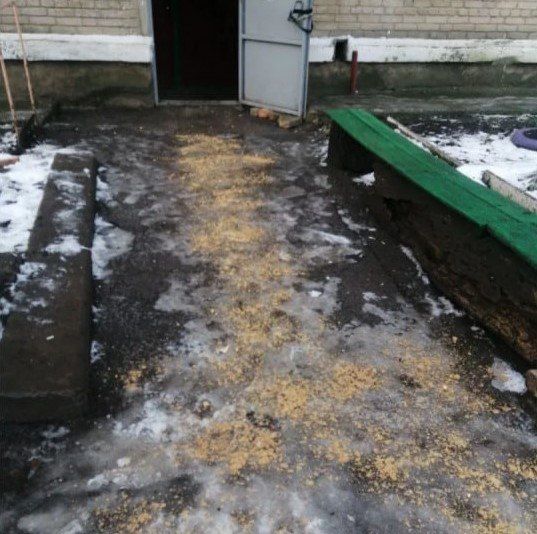 ����� �����: �������� �� ���������� �������