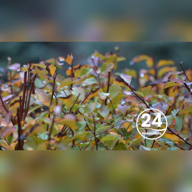 Спокойной ночи, Мариуполь!