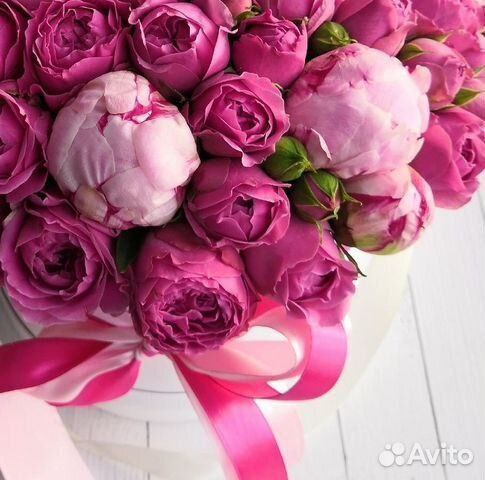 Сегодня отмечает День рождения депутат Ясиноватского муниципального совета ДНР Ирина Евсюкова!