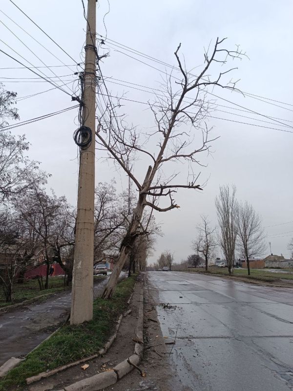 �������, 5 ������, ������������ ��� ���� ��� "������� ������������� �.�������" ��������� ������ �� ���������� ������� � ������� ��������� �������� � ��������� ��������������� ������ �.�������