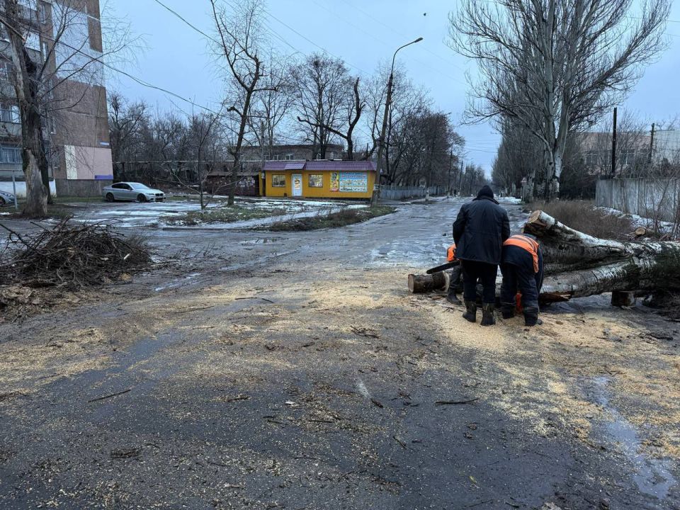 �������, 5 ������, ������������ ��� ���� ��� "������� ������������� �.�������" ��������� ������ �� ���������� ������� � ������� ��������� �������� � ��������� ��������������� ������ �.�������