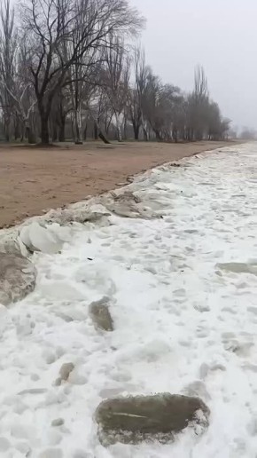 ������ ����, ������� ��������!