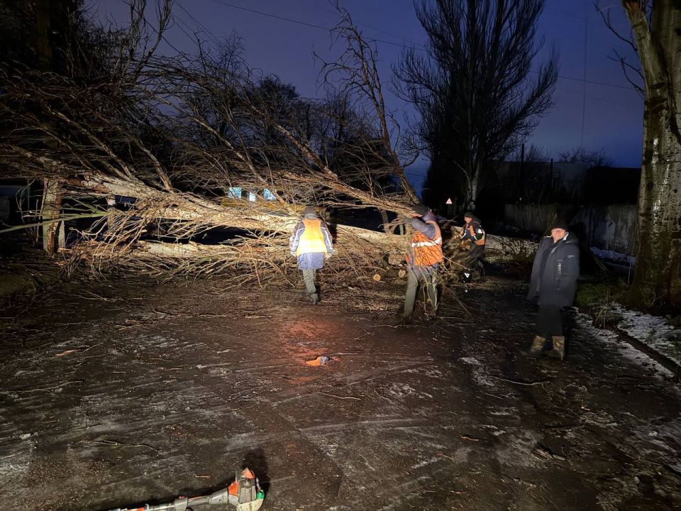 �������, 5 ������, ������������ ��� ���� ��� "������� ������������� �.�������" ��������� ������ �� ���������� ������� � ������� ��������� �������� � ��������� ��������������� ������ �.�������