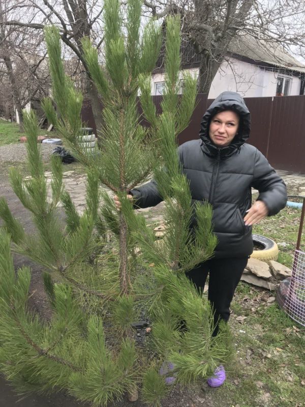 ���������� ���������� ������� ������� ����� ������� ��������