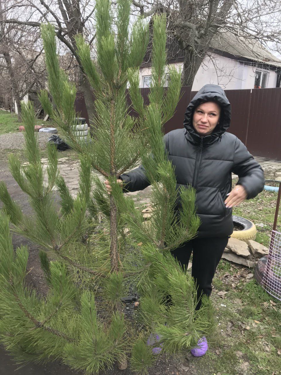 Сотрудники Торезского лесхоза провели акцию «Елочка надежды» Сотрудники Торезского лесхоза провели акцию «Елочка надежды»