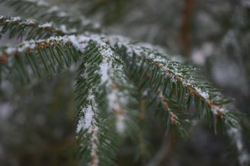 ������ ����, ������������� ������������� �����!