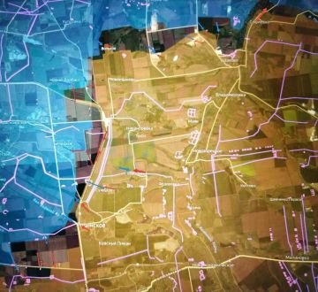 ���� �������: ����������� �����������. ������������� ��� "�����" ������������ � ����������� ���������� � ����� ������������ ��������� ��� � ����������� ���������