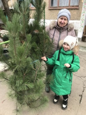 ���������� ���������� ������� ������� ����� ������� ��������