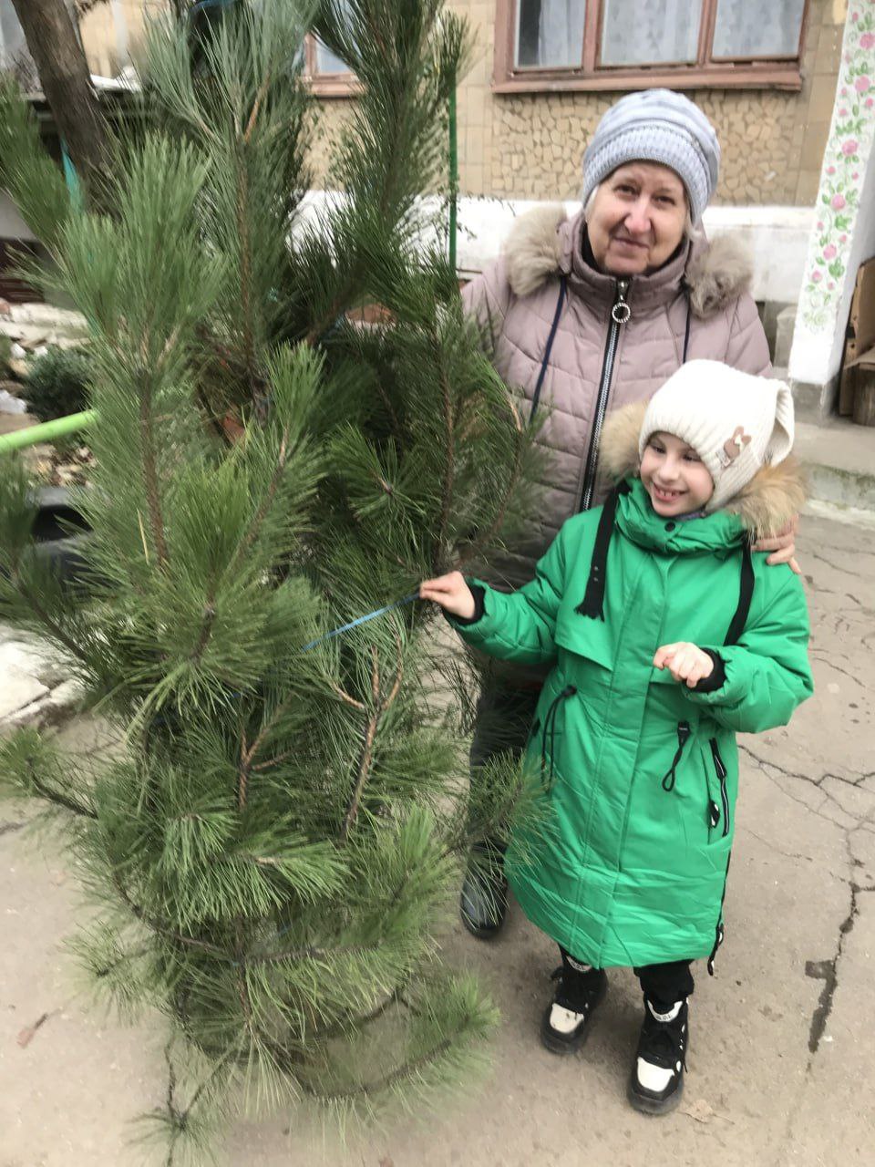 Сотрудники Торезского лесхоза провели акцию «Елочка надежды»