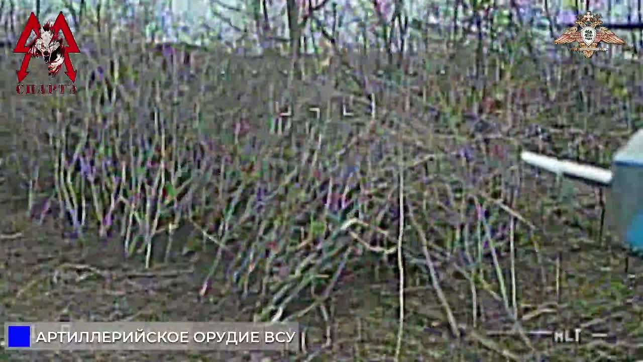 Спарта уничтожает арт. орудие ВСУ в Мирном