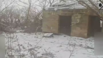 ������ ��������: 33 ��� ������ ��� ��� � ������ ���������