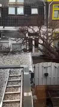 �������� ���� ������� � ��������� � ������ ���!