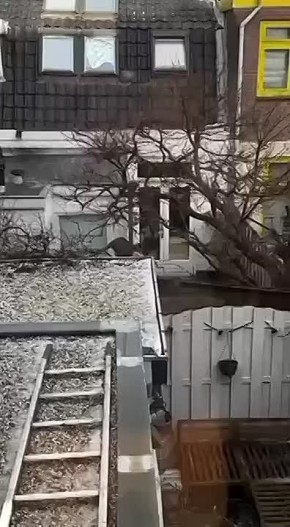 �������� ���� ������� � ��������� � ������ ���!