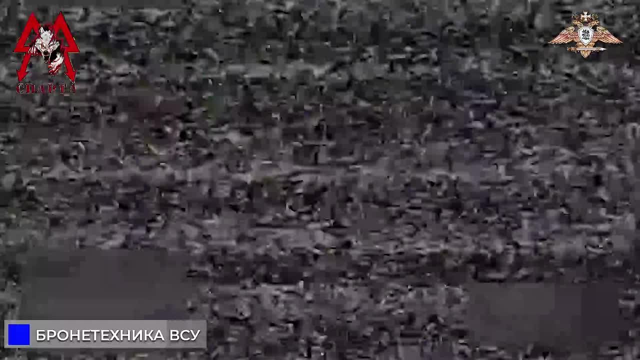 Спарта уничтожает М113 ВСУ в Новоалександровке