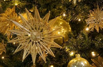 ��������� �������: ������� ������! �� ���� ���� ���������� ���� ������������ �� ������� ���������� ��������� ��������!