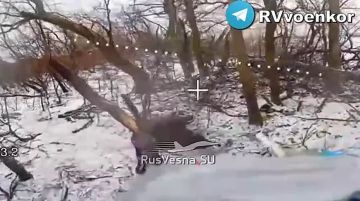 �������� ����� ��� �� ����������, ����������� � � ���������������� �������